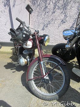 St George’s Day Show