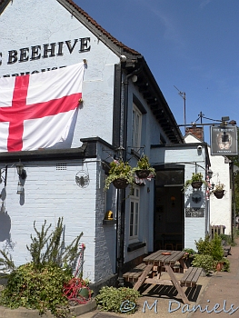 Periwinkle Run at Hare Street Beehive