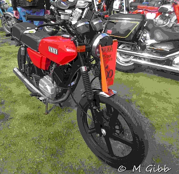 At Copdock Show