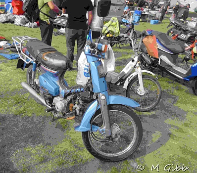 At Copdock Show