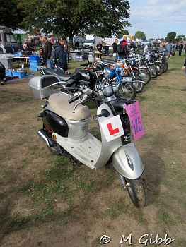 At Copdock Show