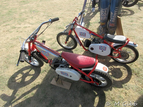 At Copdock Show