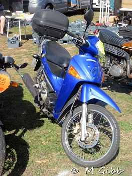 At Copdock Show