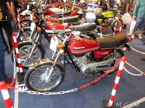 At Copdock Show