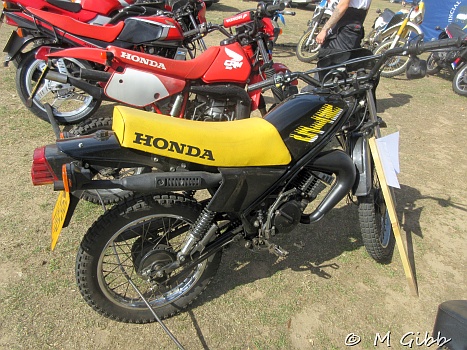 At Copdock Show