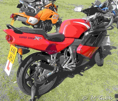 At Copdock Show