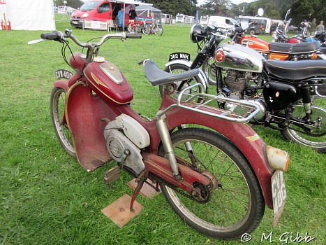 Henham Steam Rally