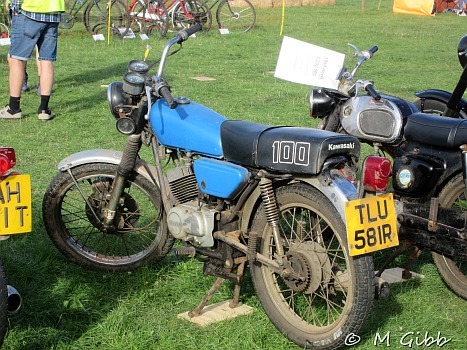 Henham Steam Rally