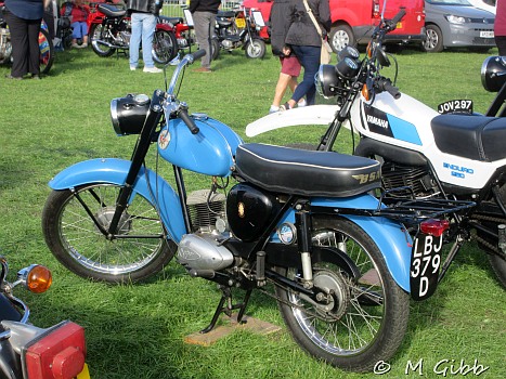 Henham Steam Rally