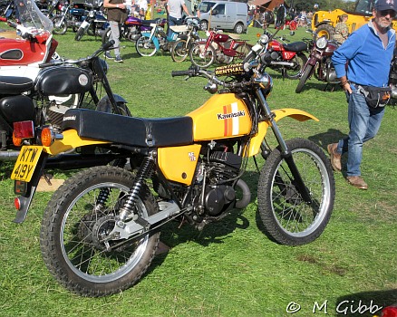 Henham Steam Rally