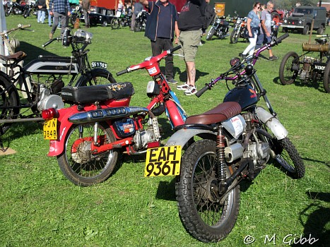 Henham Steam Rally