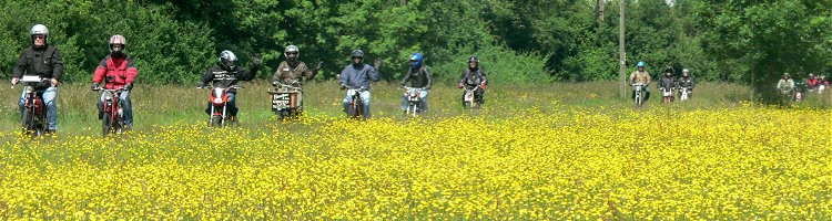 Procession through the buttercups
