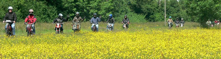 Procession through the buttercups