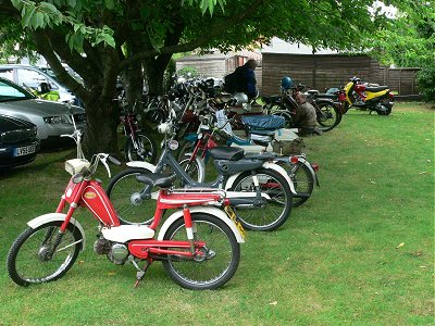 Mopeds lined up under the trees