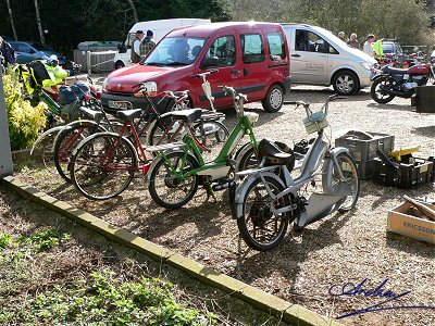 Bikes for sale