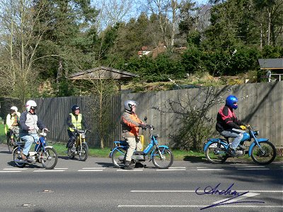 Blue bikes: Capitano, Bravo & Novio