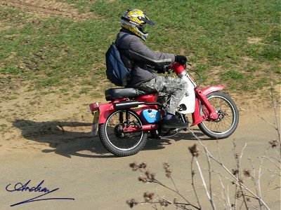 Honda Cub