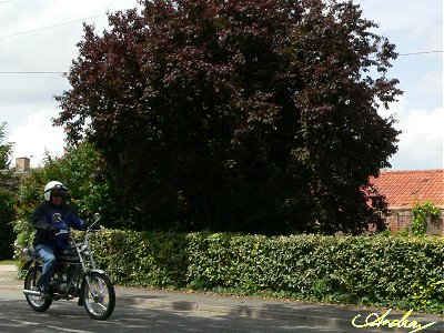 Ef on his Gilera