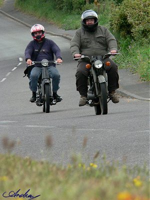 Suzuki and Honda