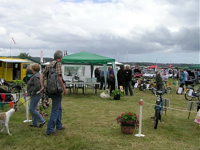Don't think the dog wants to see the bikes