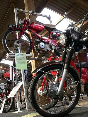 Raleigh RM11