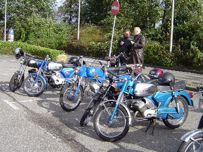 Any colour, as long as they're blue