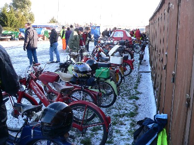 More of the line-up