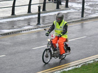 Hi-Viz Carl