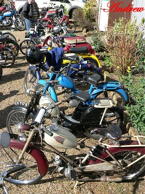 A few of the bikes at the start