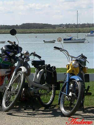 NSU Quickly and Puch
