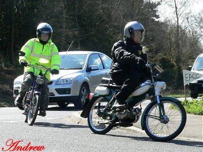 A pair of Puchs