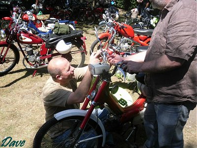 Mopeds under the trees at Waldringfield