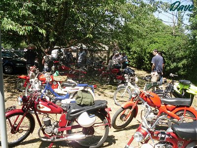 Mopeds under the trees at Waldringfield