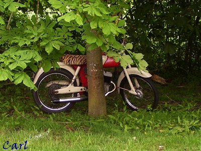 BSA Beagle