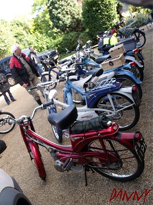 The bikes lined up neatly