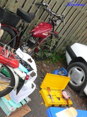 Bacon and autocycle