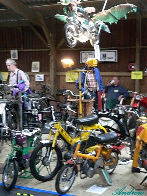 Dragon flies over the stand