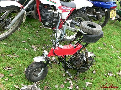 Di Blasi folding bike