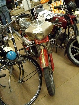 BM Jaguarino Extra