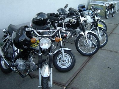 Bikes at Waddinxveen