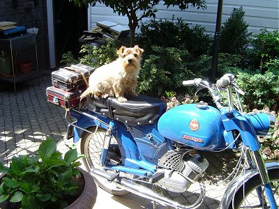 Driebruggen Ride