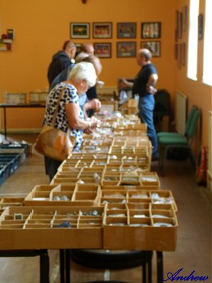 Rows and rows of new parts