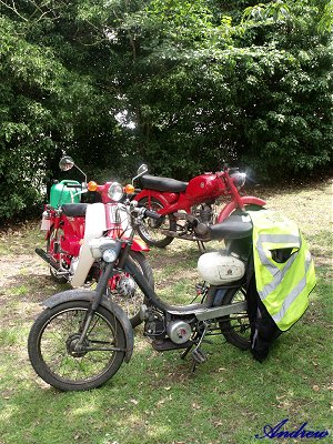 Motobi, Honda and Motom