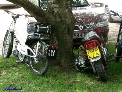 Runabout and Chappy