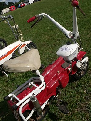 Motograziella