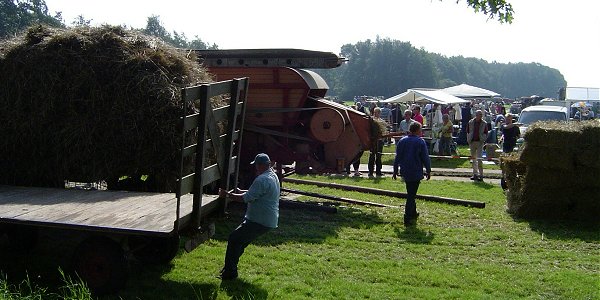 Preparing for the threshing demostration