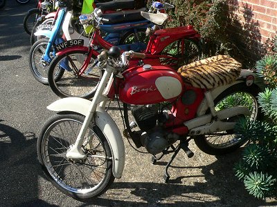 BSA Beagle
