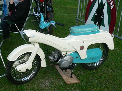 Ariel Pixie