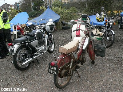 Bikes at the Yacht Club