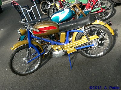 Rex Sport